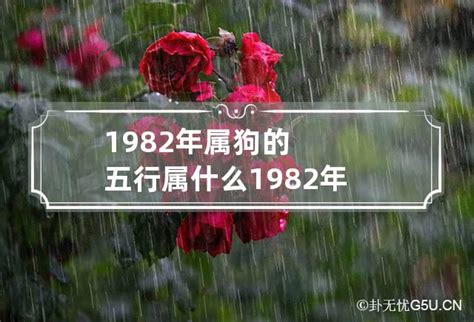 1982年是什么年|1982年属什么 1982年属什么五行